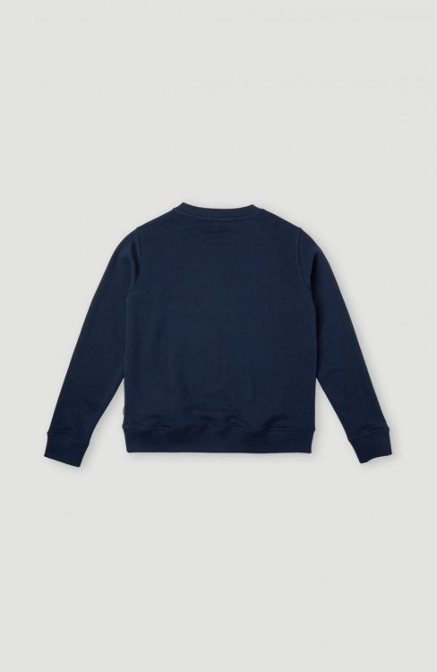 O'NEILL ALL YEAR CREW sweatshirt (3750002) - Bluesand New&Outlet 