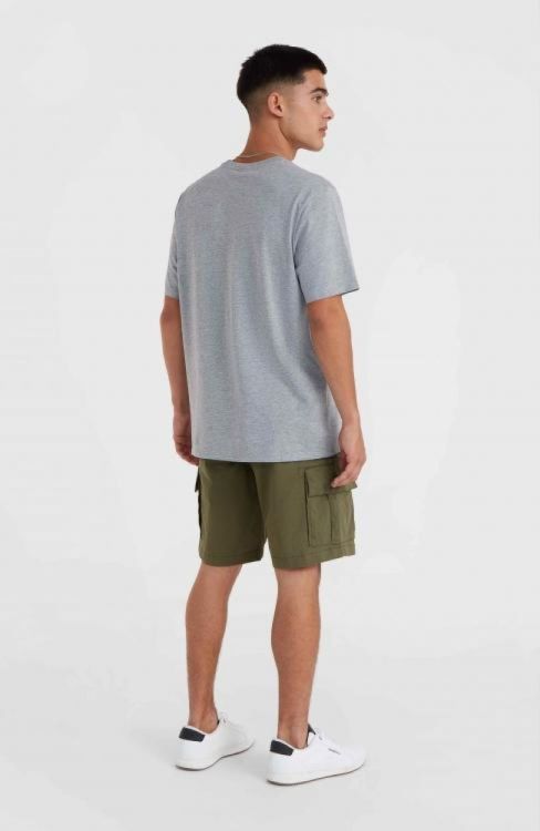 O'NEILL ESSENTIALS CARGO SHORTS (2700071) - Bluesand New&Outlet 
