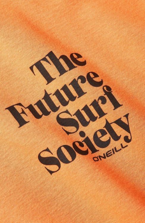 O'neill FUTURE SURF SOCIETY HOODIE (1750069) - Bluesand New&Outlet 