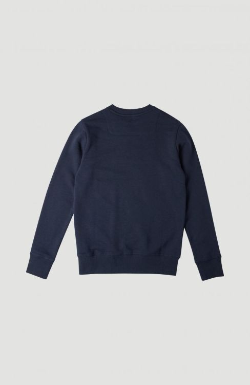 O'NEILL O'Neill Crew Sweatshirt (N01480) - Bluesand New&Outlet 