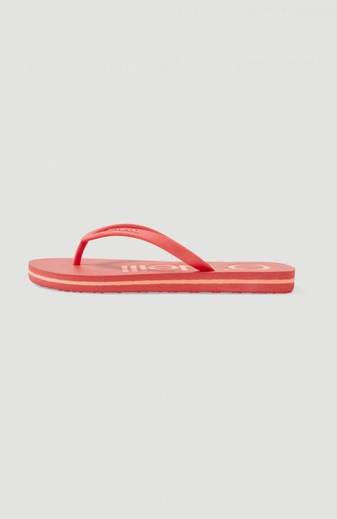 O'neill PROFILE LOGO SANDALS (4400002) - Bluesand New&Outlet 